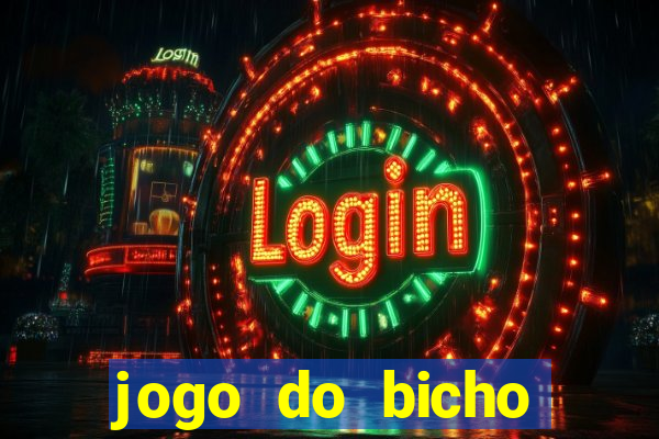 jogo do bicho crash bingo
